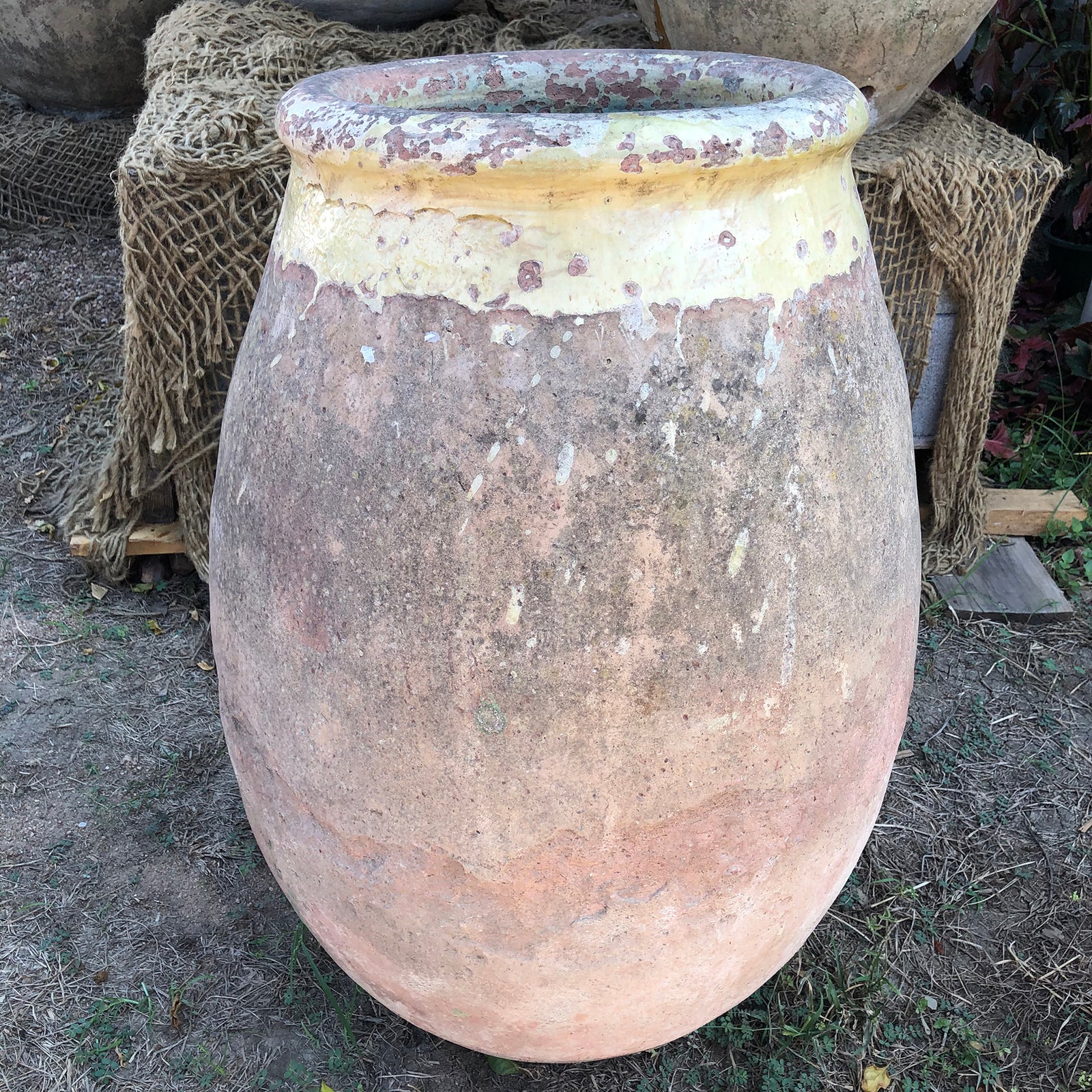 Antique Biot Jar - 17th century - 35" 8 Stamps - F-35