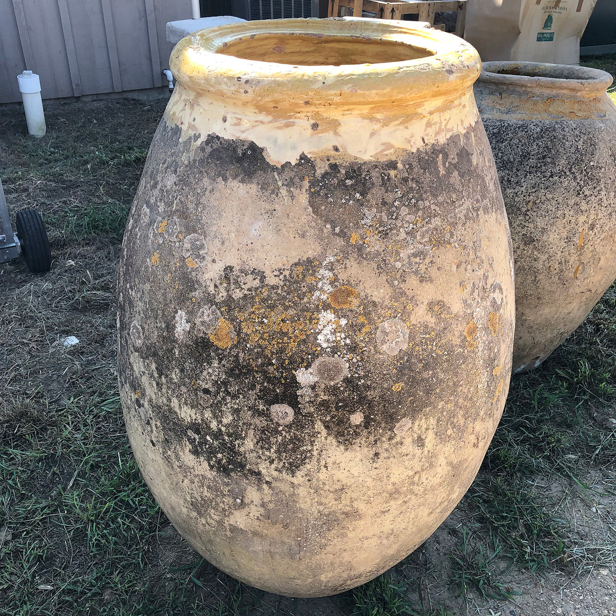 Antique Biot Jar - 17th century - 43&quot; 15 Stamps - H