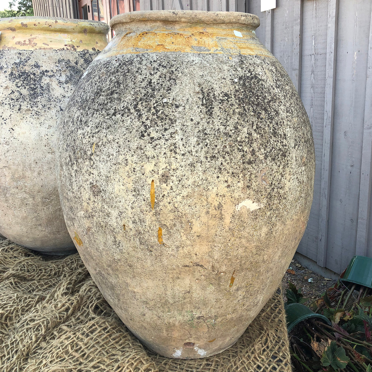 Antique Biot Jar - 17th century - 34&quot; 10 Stamps - i